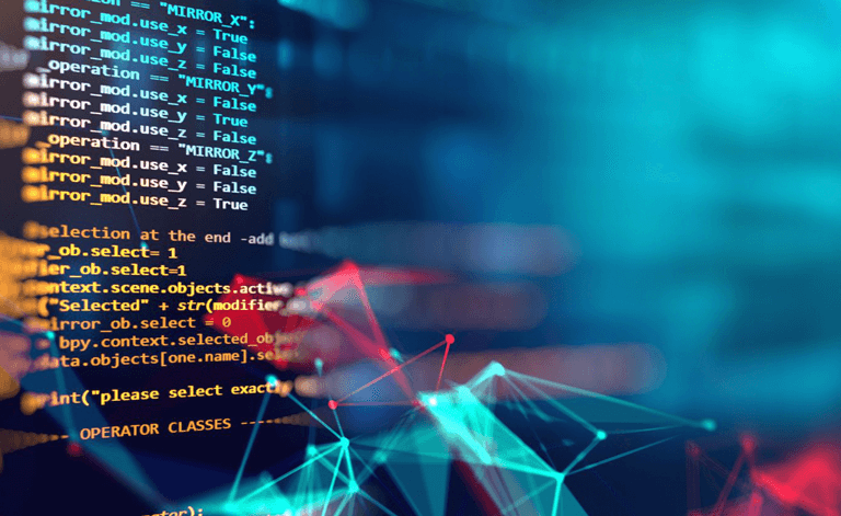 Our Software Engineer Program